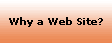 Why a Web Site?