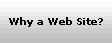 Why a Web Site?